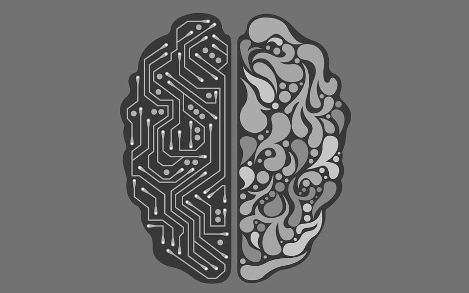 Dissecting Artificial Intelligence to Know More about Human Brain!!