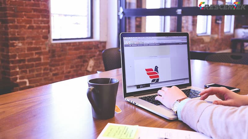 Website Design and Development from a More Practical Point of View